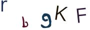Obrázkové CAPTCHA